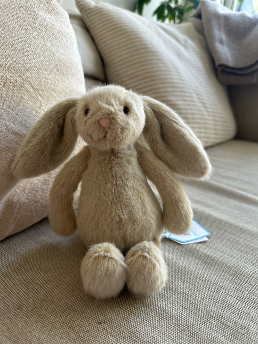 Jellycat Wheat Fluffet Bunny